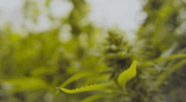 Dec-01-2022 15-26-18.gif