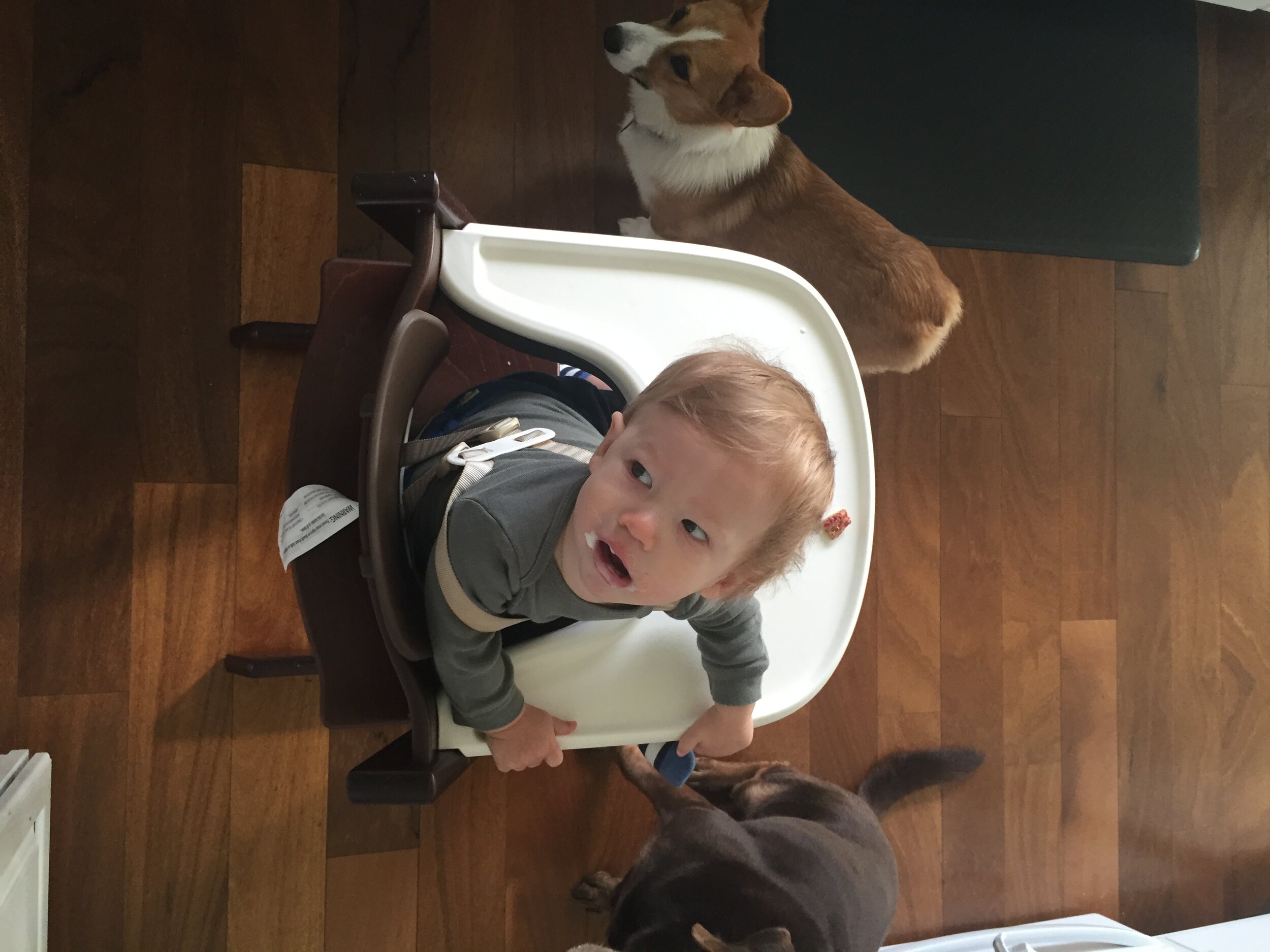 2015-07-11 08.29.16.jpg