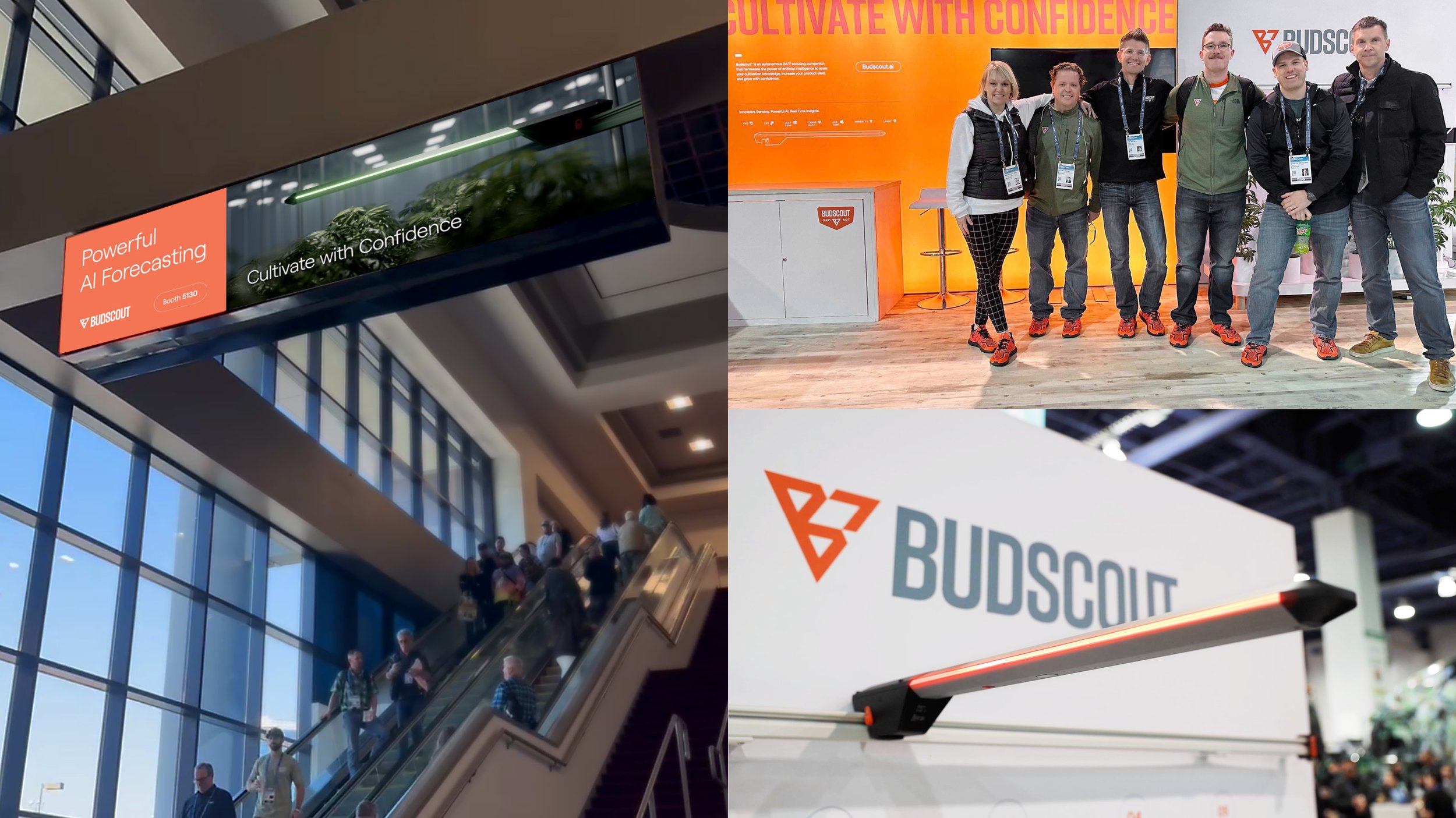 221118_Budscout_CaseStudy_Visuals3.jpg