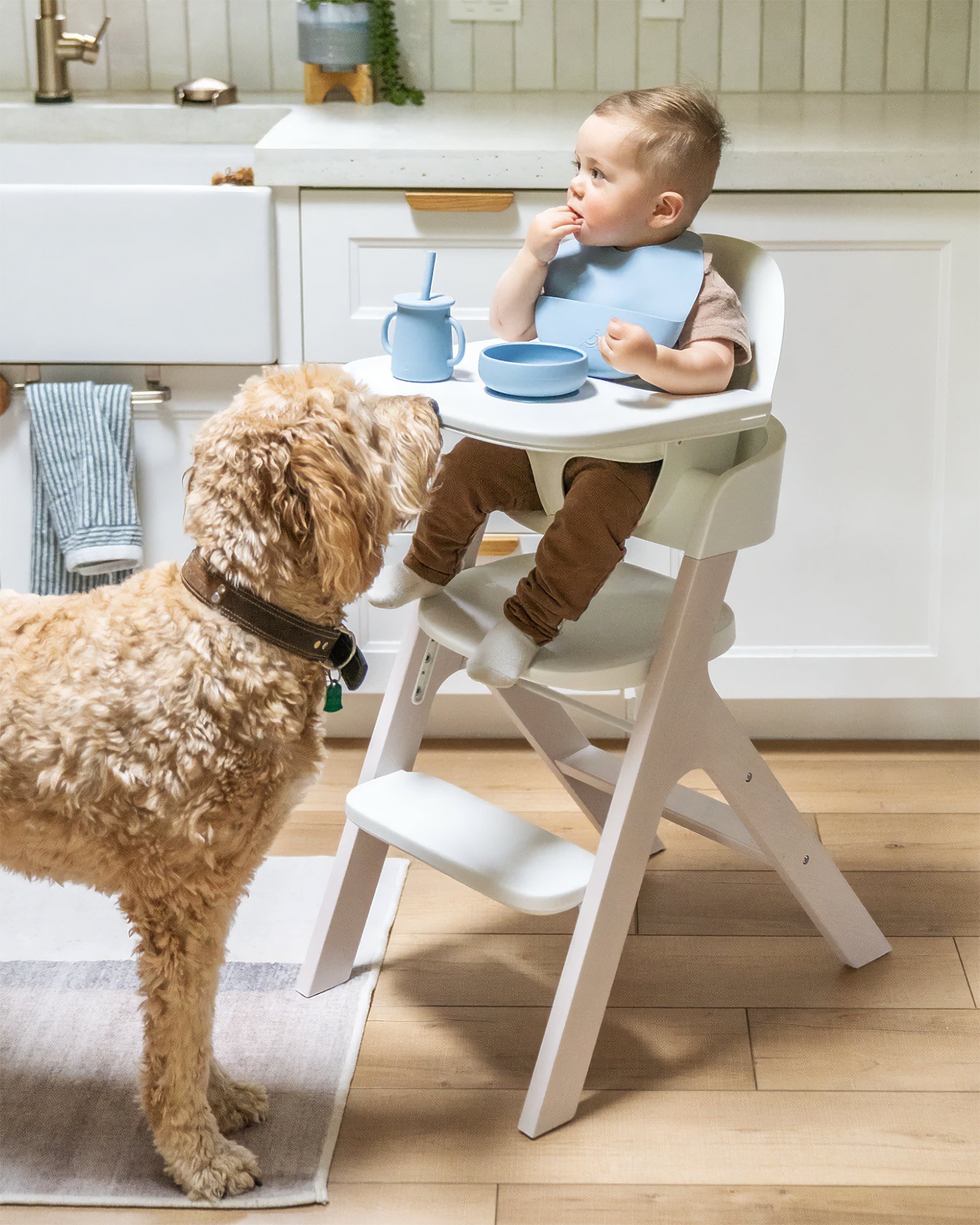 250812_MB_Photo_With Dog.jpg