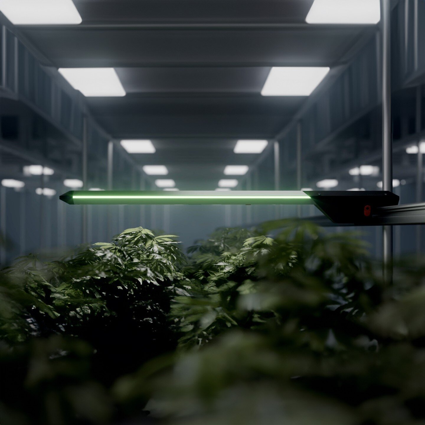 Heading to @mhubchicago's HardTech Summit this Thursday, March 14? Discover how MNML can propel your startup from idea to reality.

MNML was crucial in helping @budscoutai grow from an idea to a functioning business. We built the brand from the groun