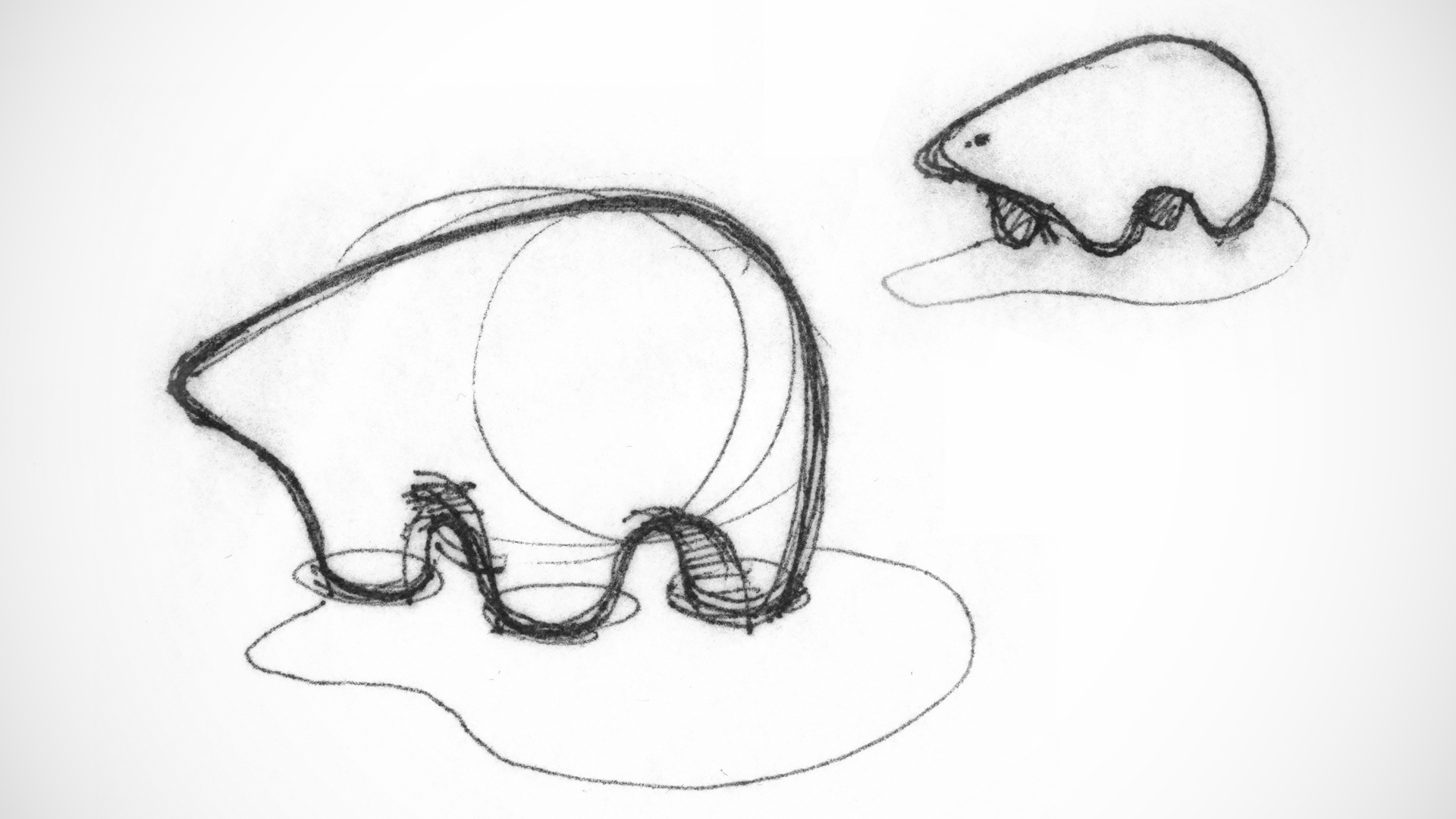 Umka-polar-bear-sketches_1600x900.jpg